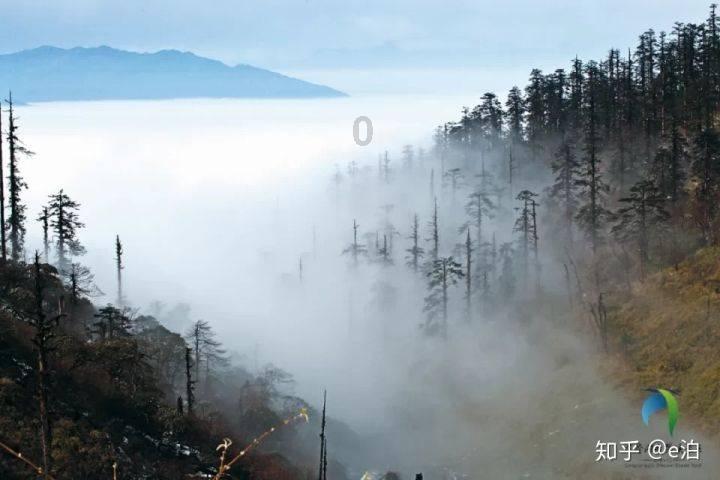 发现惊喜!大的3岁,小的还没满月.离婚孩子怎么判?带你了解冷知识的秘密!