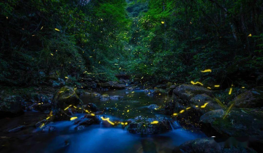 沙漠避难所