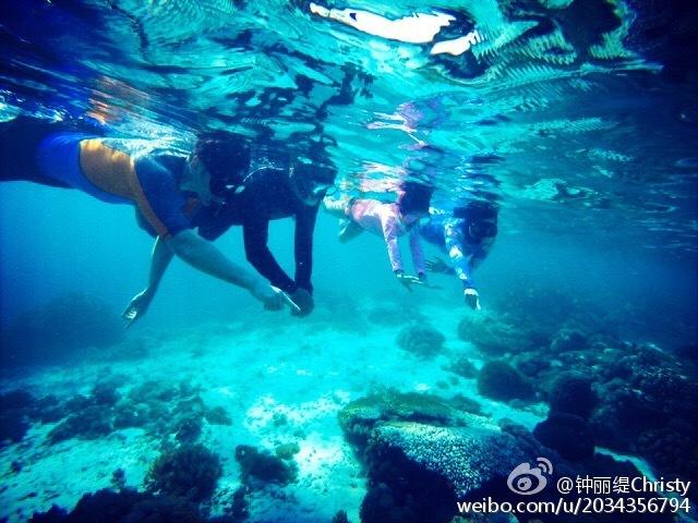 探索天涯问答交流平台酒精度≥2.9%vol算高吗